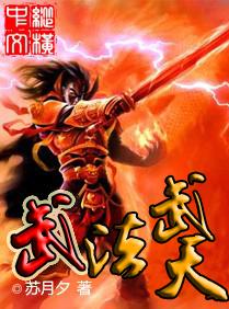 武法入门厉害吗