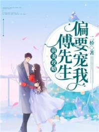 前妻攻略第2季