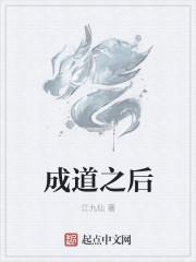 成道者无防盗