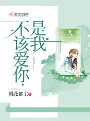 是我不该爱你多原唱歌词