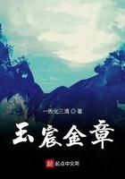玉宸金章好看吗