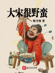 大宋完本