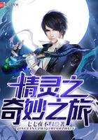 精灵之奇幻冒险