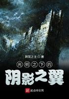 光明之翼