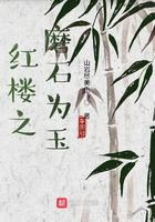 红楼之点石成金 全文阅读