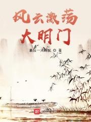 大明风云简介