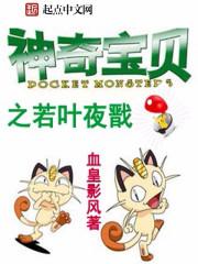 神奇宝贝之夜一