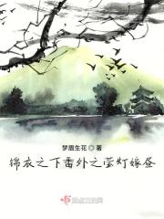 锦衣之下番外洞房结局