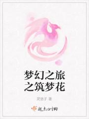 梦幻之旅骗局