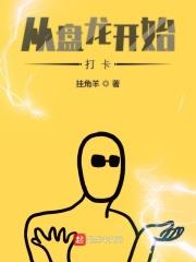 从盘龙开始的