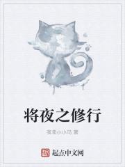 将夜 修为