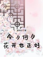 歌词今夕何夕