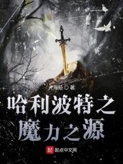 哈利波特之一段魔法史
