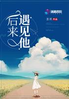 后来遇见他歌词表达什么意思