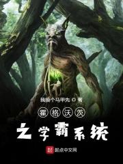 霍格沃兹之学霸传奇
