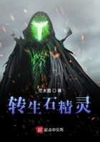 转生石怎么用