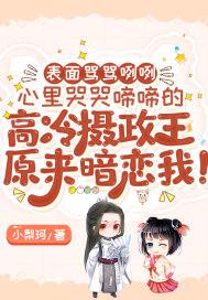 高冷俊美摄政王的男妃