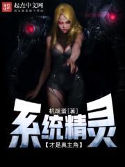 系统之精夜
