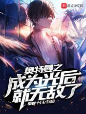 奥特曼之光影旅行者在线观看