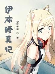 伊布 数据