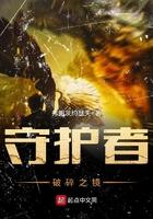 碎片守护者套装是第几期