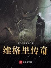 维格系列