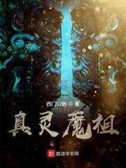 真灵宝珠百科