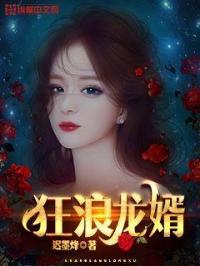 狂浪龙婿狂浪龙婿