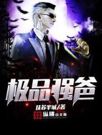 极品奶爸全文免费阅读