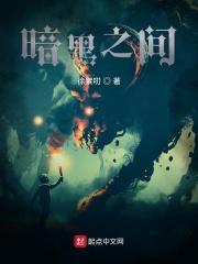 暗黑介绍