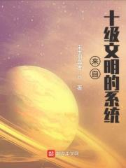 十级文明是什么样子的