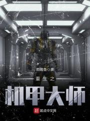 重生之机甲大师顶点